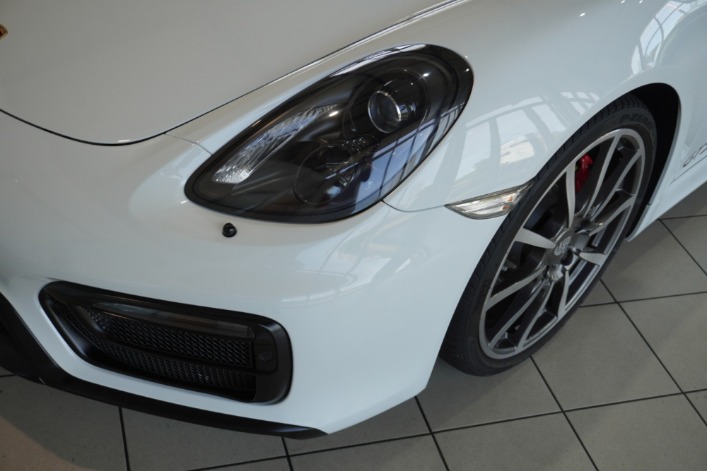2658   981 GTS  (11)