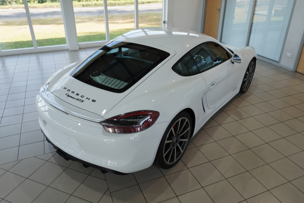 2658   981 GTS  (5)