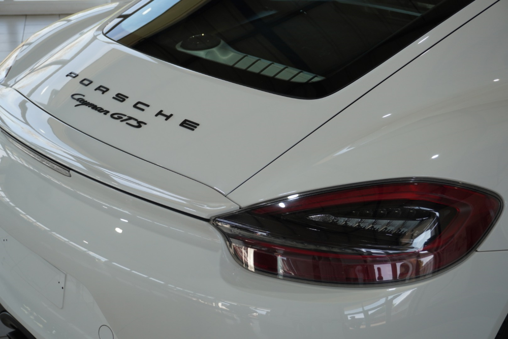 2658   981 GTS  (7)