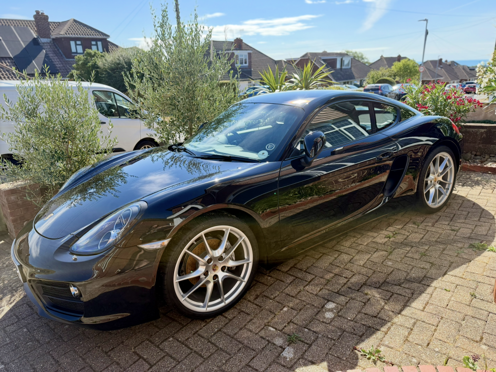 Cayman (981) 24V