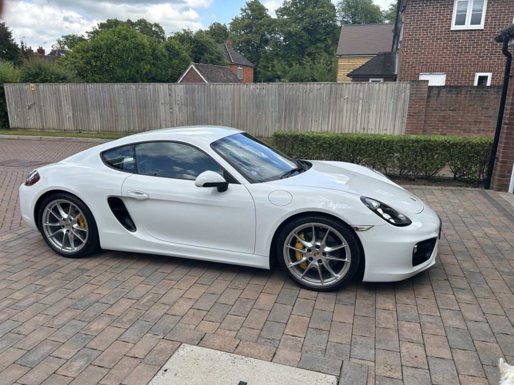 Cayman 981 24V S