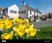 the-blue-bell-public-house-in-the-village-of-arkendale-near-knaresborough-north-yorkshire-engl...jpg