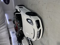 IMG_7973.jpeg