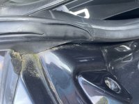 IMG_6724.jpeg