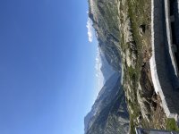 IMG_3515.JPG