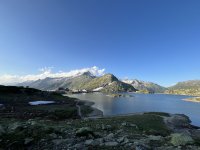 IMG_3531.JPG