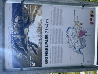 IMG_3517.JPG