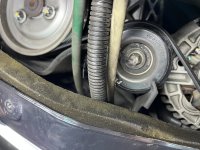 IMG_8524.jpeg IMG_8524.jpeg