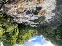 IMG_7182.jpeg