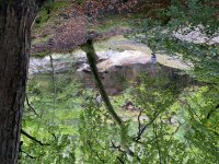 IMG_7193.jpeg