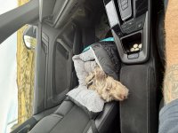 IMG_5299.jpeg