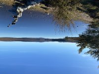 IMG_7234.jpeg