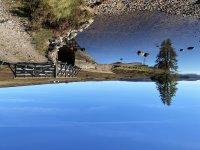 IMG_7235.jpeg