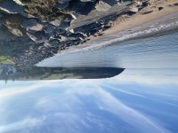 IMG_7238.jpeg