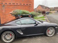 IMG_1856 (1).jpeg IMG_1856 (1).jpeg