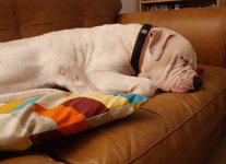 1000041825.jpg 1000041825.jpg