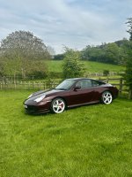 IMG_7197.jpeg