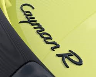 Cayman_R_Gruppe