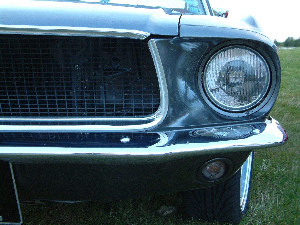 4F756F51A0454858A21D1253C8B0C832.jpg