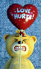 
Harriet
![B970E949B7BD4FFB9E53103DA41A43C9.jpg