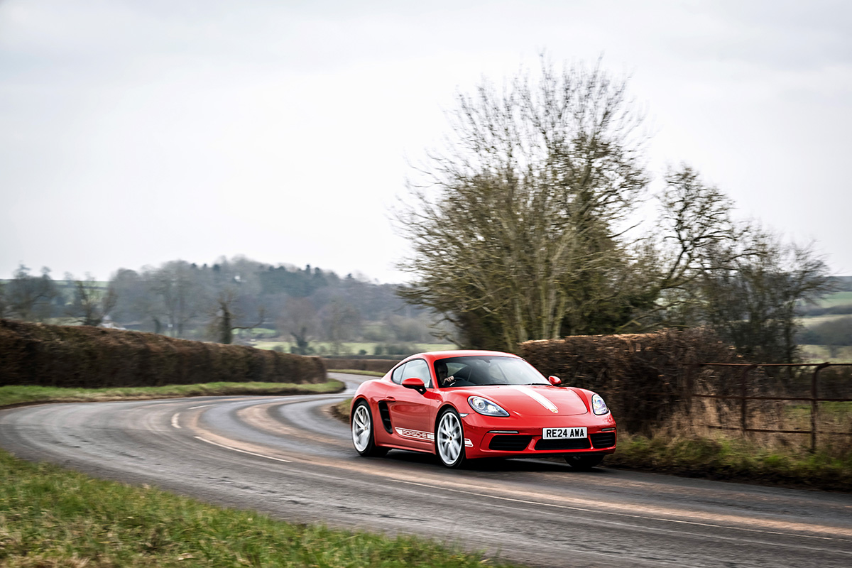 BAZ_7948-copy.jpg