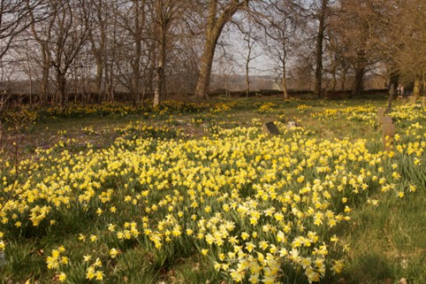 IMG_3471.jpeg IMG_3471.jpeg