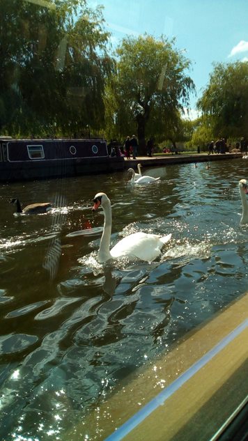 Photo 9 from the R29 2017-04-21to23 WOTY Welcombe Hotel Spa Stratford-upon-Avon gallery