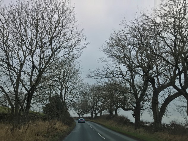 Photo 8 from the November Impromptu Drive November 2019 gallery