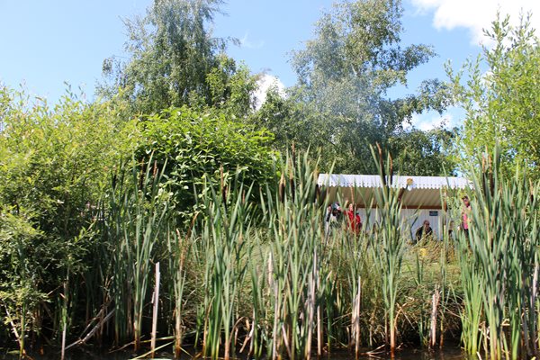 Photo 19 from the Summer Picnic gallery