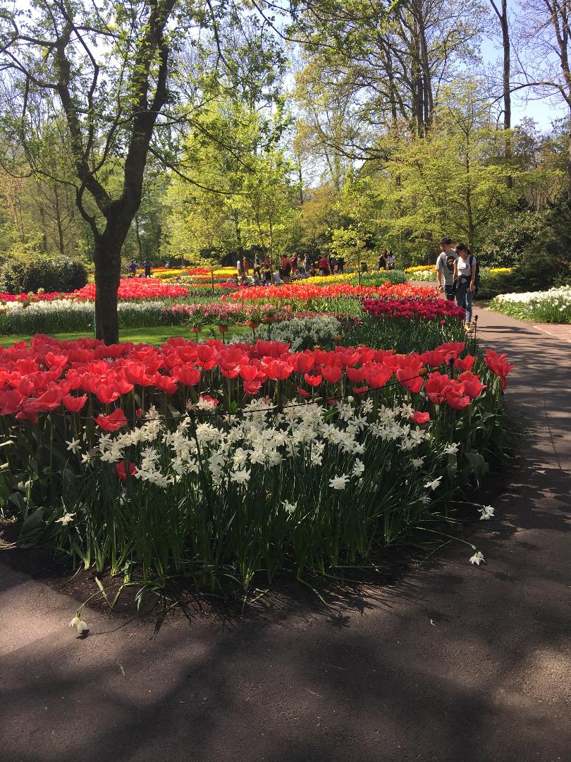 Photo 52 from the R29 2019-04-19to21 WOTY to Holland gallery