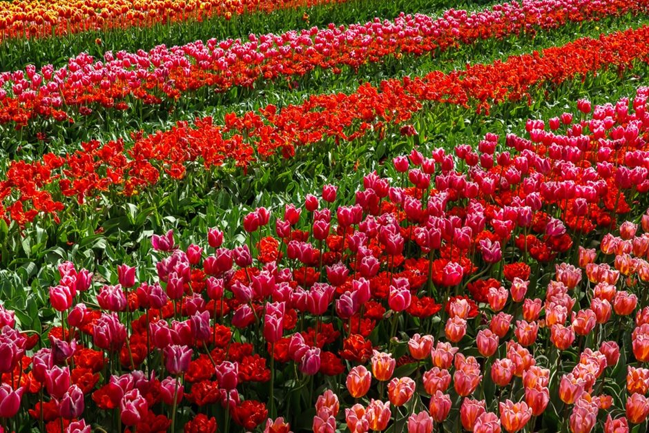 Photo 14 from the R7 2019 Events and Meetings gallery