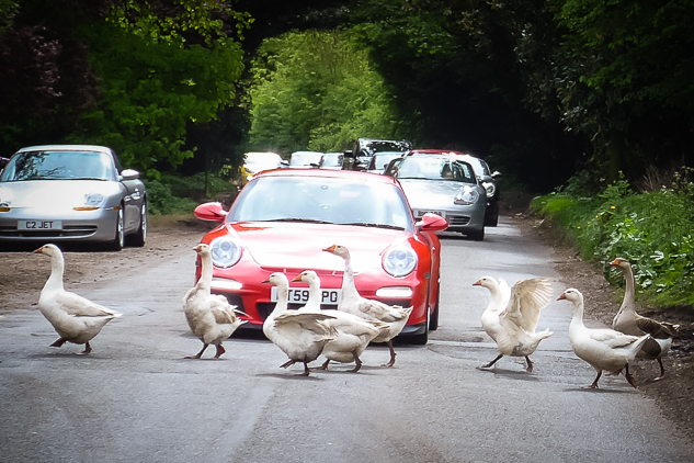 Photo 2 from the The Thames Trail 2015 gallery