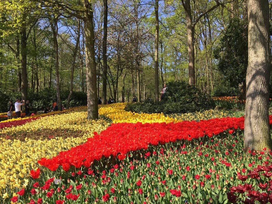 Photo 59 from the R29 2019-04-19to21 WOTY to Holland gallery
