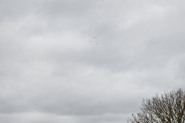 Photo 11 from the R29 2017-03-19 Clay Pigeon Shooting & Pub Lunch gallery