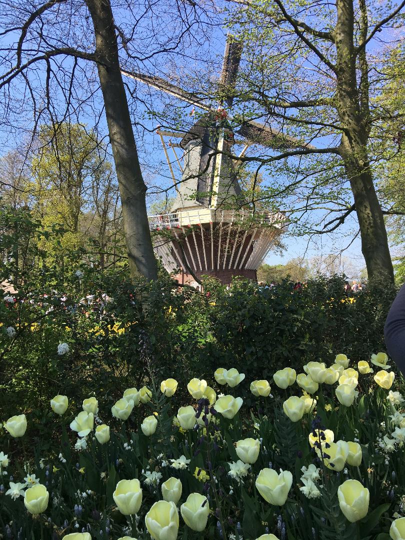 Photo 32 from the R29 2019-04-19to21 WOTY to Holland gallery
