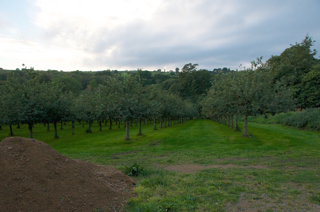Guernsey Cider Company Tour