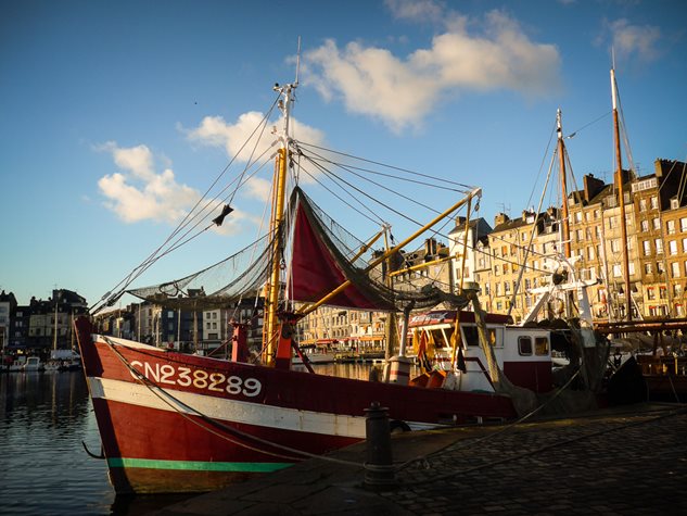 Photo 7 from the Christmas Break - Honfleur 2014 gallery