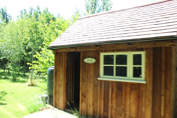 Photo 43 from the Summer Picnic gallery