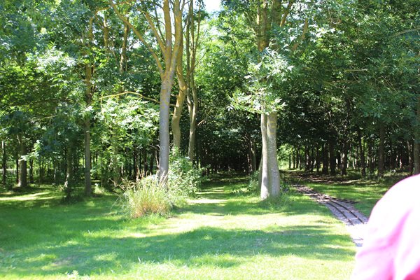 Photo 40 from the Summer Picnic gallery