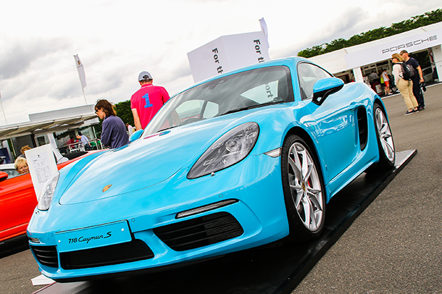 Porsche AG membership survey