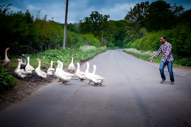 Photo 16 from the The Thames Trail 2015 gallery
