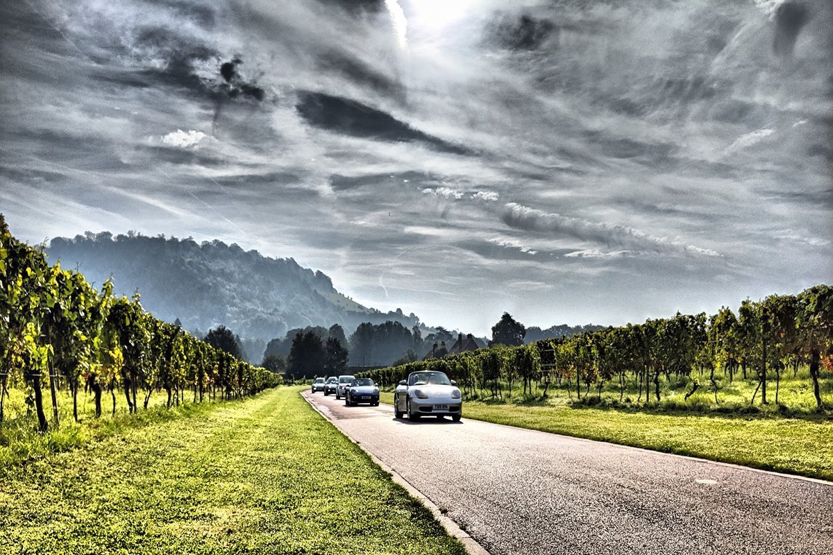 Denbies Wine Estate - Brunch