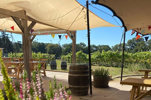 Summer Pizza evening at Oaken Grove vineyard