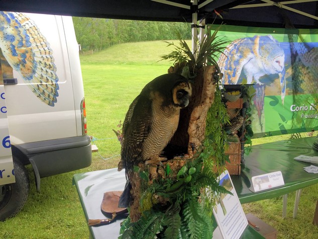 Photo 7 from the Lakes Classic Car Show June 2019 gallery