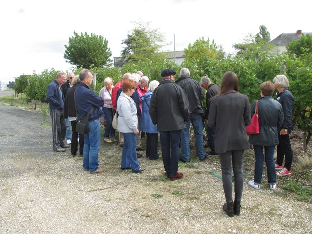 Photo 10 from the R29 2015-09-12 to 17 French Trip gallery