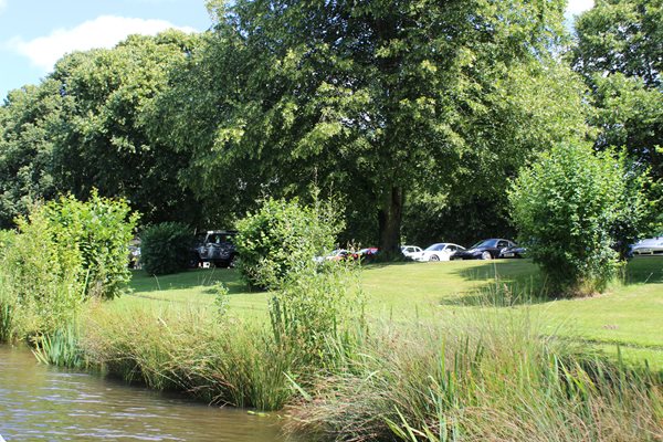 Photo 17 from the Summer Picnic gallery