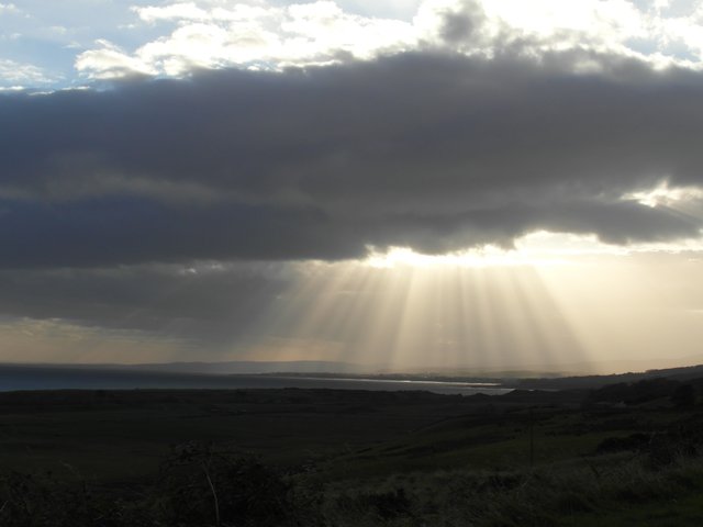 Moody Cromarty Firth