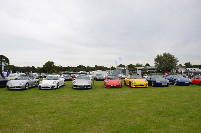 Photo 10 from the Gold Cup 2015 gallery