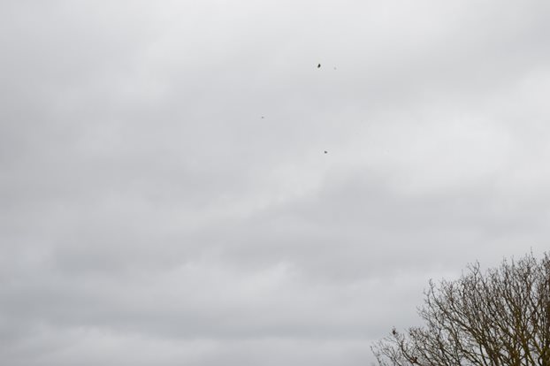 Photo 15 from the R29 2017-03-19 Clay Pigeon Shooting & Pub Lunch gallery