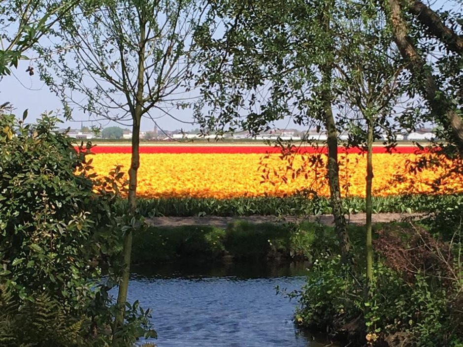 Photo 31 from the R29 2019-04-19to21 WOTY to Holland gallery